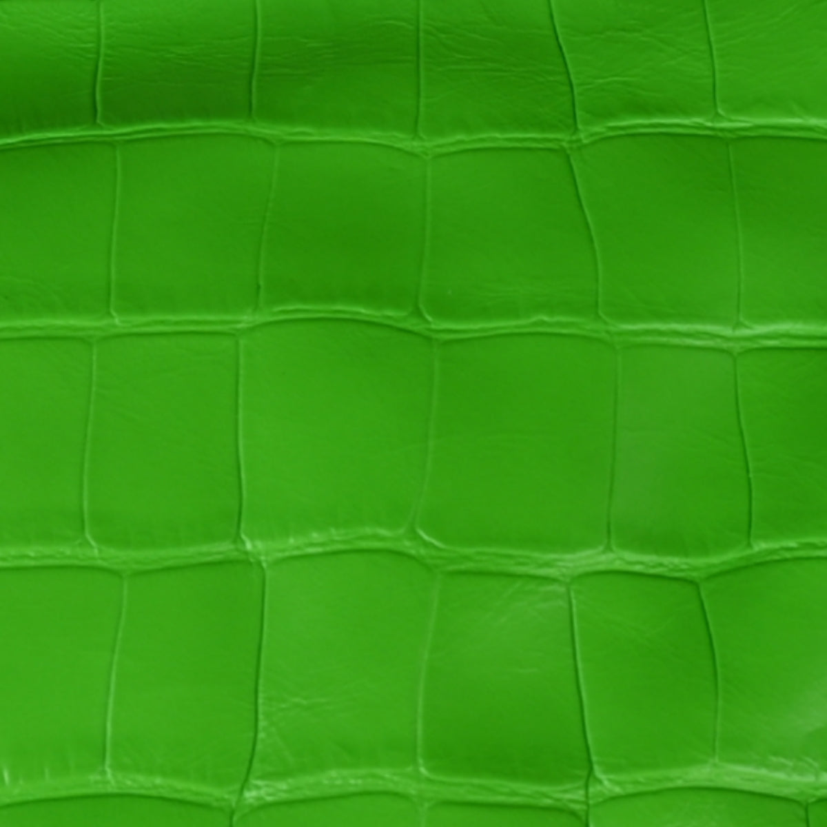 Balenciaga Le Cagole Shoulder & Cross body bag neon green