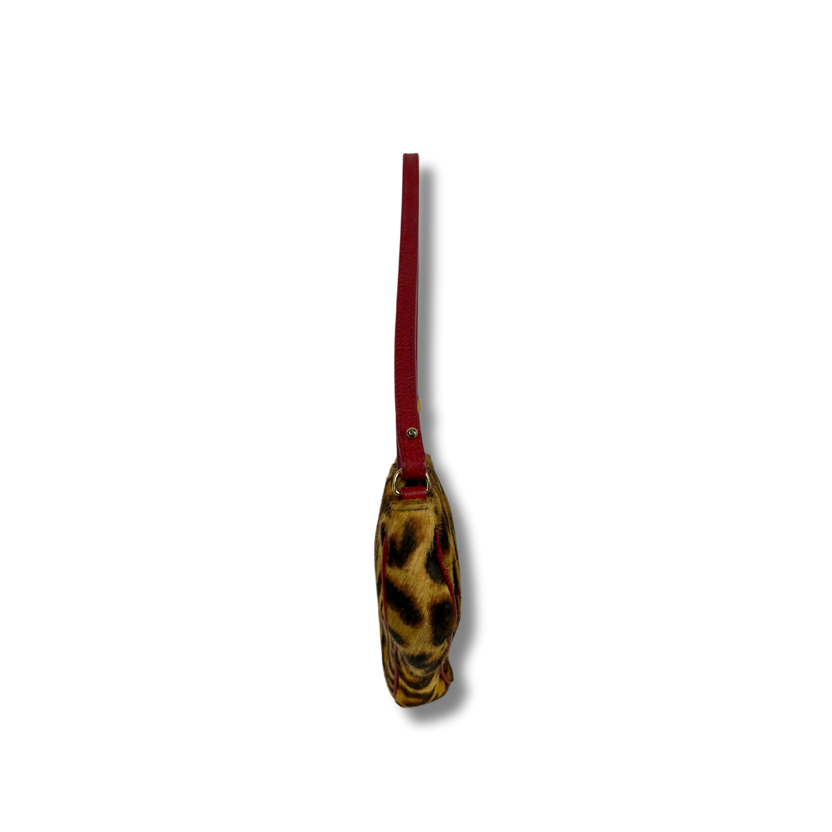 Dior Leopard Print Saddle Rodeo Pouch with pony-style calfskin and red leather trim
