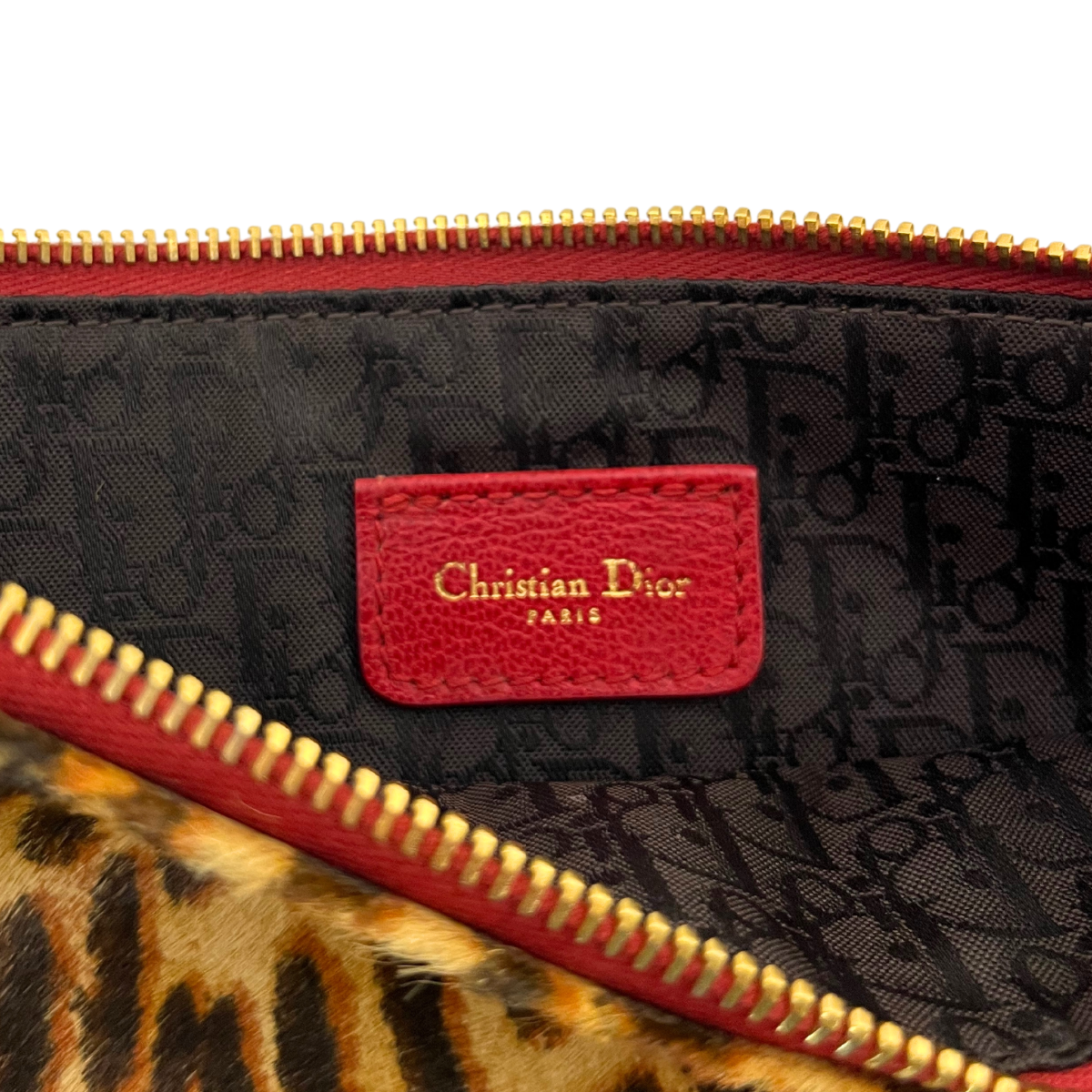 Dior Leopard Print Saddle Rodeo Pouch with pony-style calfskin and red leather trim