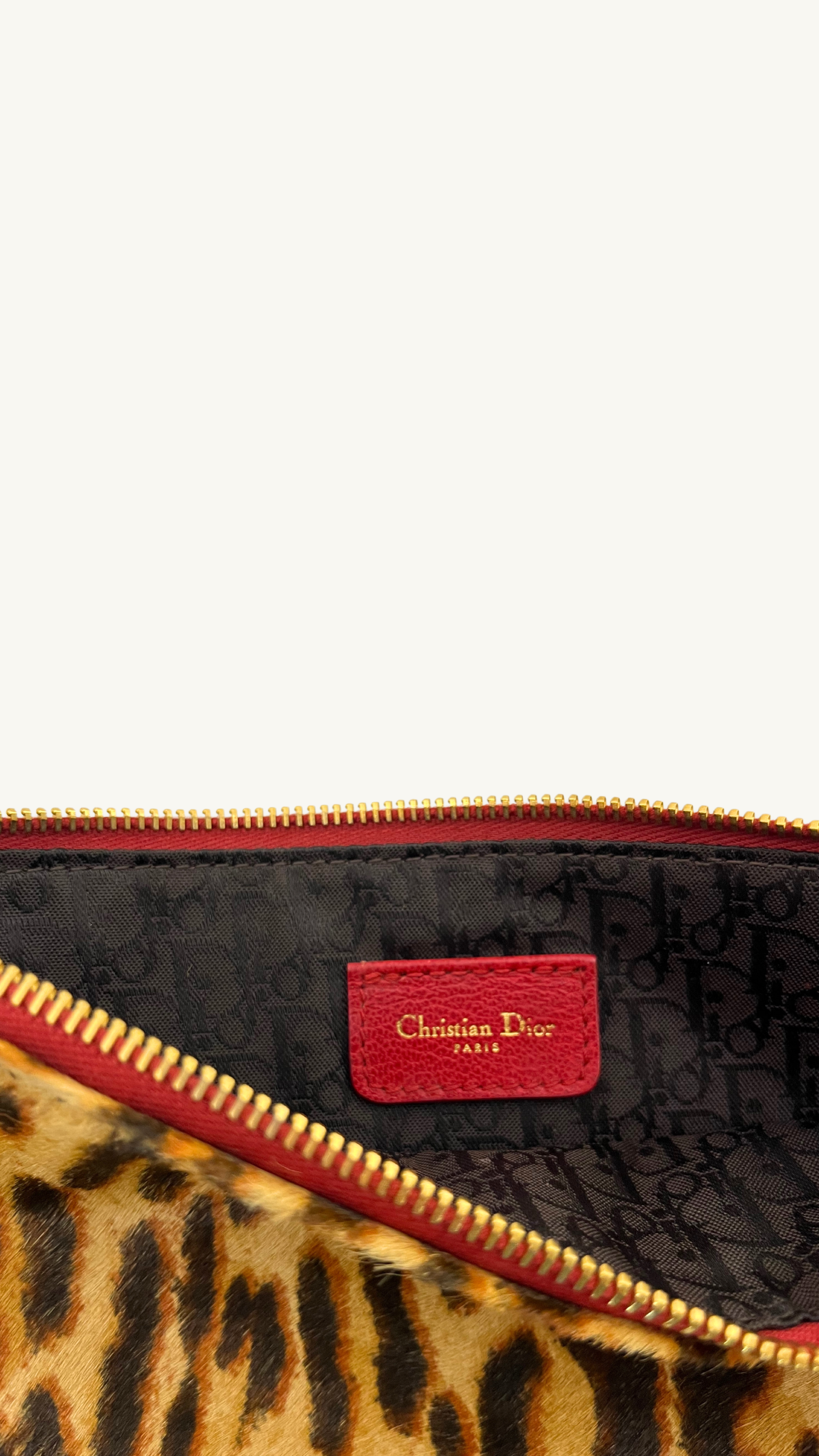 Dior Leopard Print Saddle Rodeo Pouch with pony-style calfskin and red leather trim