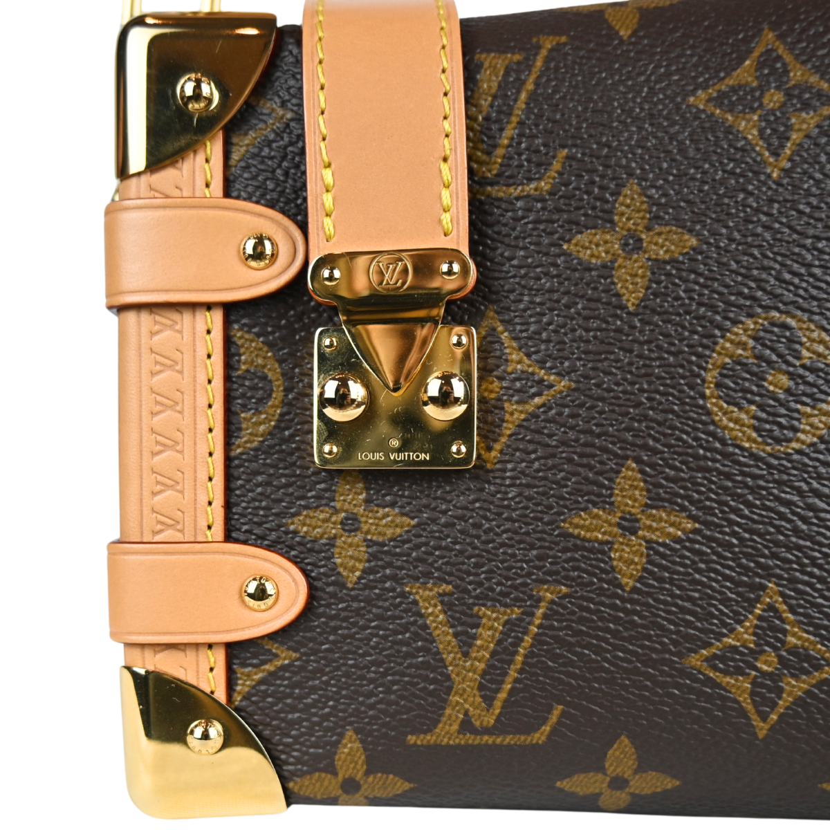Louis Vuitton Side Trunk PM Monogram Canvas Close Up of S-Lock